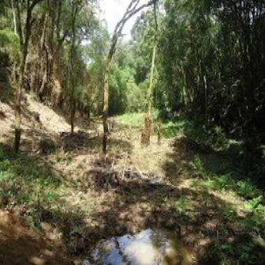 222.000M2 / 15 KM AUDI / INVESTIDOR