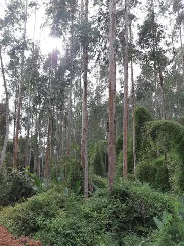 69.000 M2 / PROXIMO BR  116