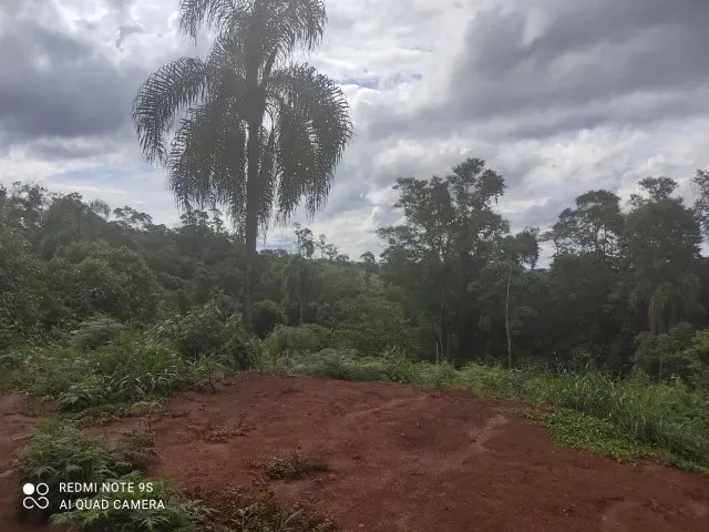 174.240M2 / ESTRADA DO CERNE / IDEAL INVESTIDORES