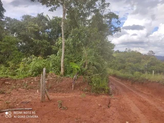 174.240M2 / ESTRADA DO CERNE / IDEAL INVESTIDORES