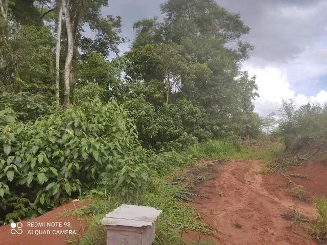 174.240M2 / ESTRADA DO CERNE / IDEAL INVESTIDORES