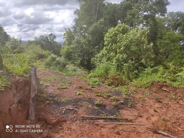 174.240M2 / ESTRADA DO CERNE / IDEAL INVESTIDORES