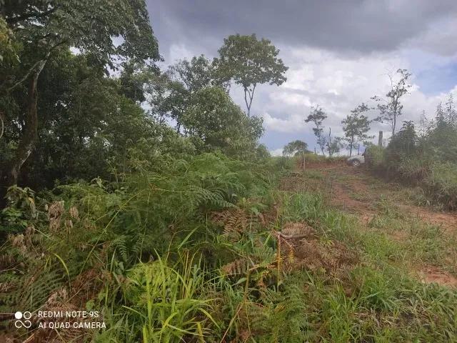 174.240M2 / ESTRADA DO CERNE / IDEAL INVESTIDORES