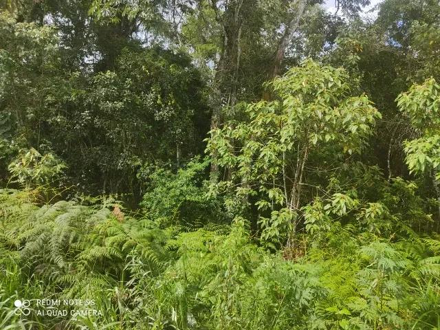 174.240M2 / ESTRADA DO CERNE / IDEAL INVESTIDORES