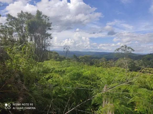 174.240M2 / ESTRADA DO CERNE / IDEAL INVESTIDORES