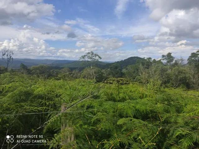 174.240M2 / ESTRADA DO CERNE / IDEAL INVESTIDORES