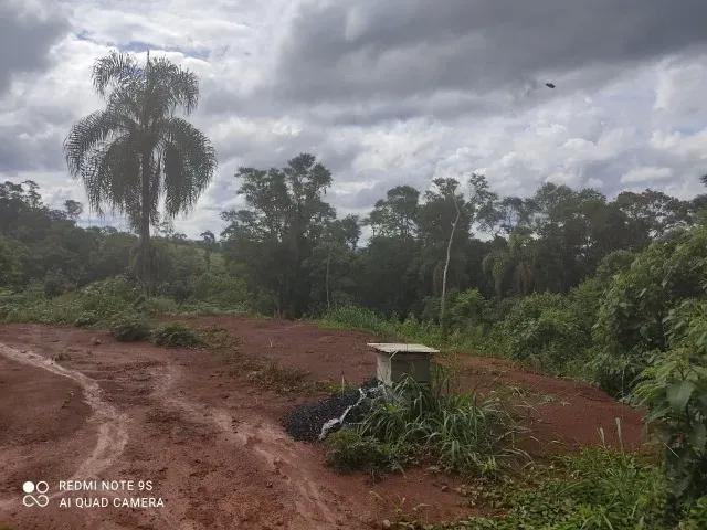 174.240M2 / ESTRADA DO CERNE / IDEAL INVESTIDORES