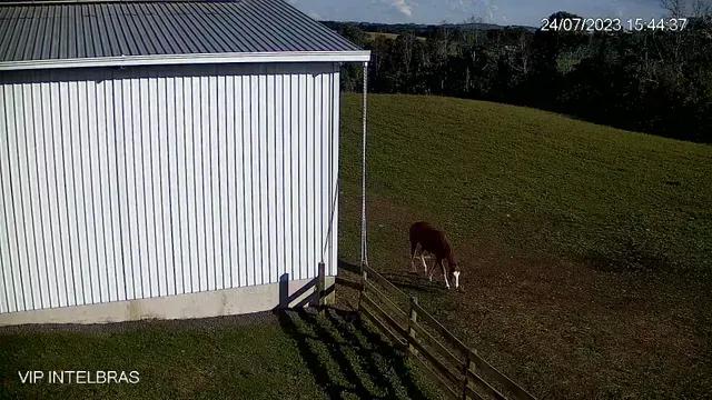 206.533 M2 / REBOUÇAS-PR / 400 METROS ASFALTO