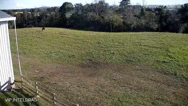 206.533 M2 / REBOUÇAS-PR / 400 METROS ASFALTO