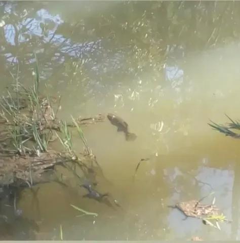 206.533 M2 / REBOUÇAS-PR / 400 METROS ASFALTO