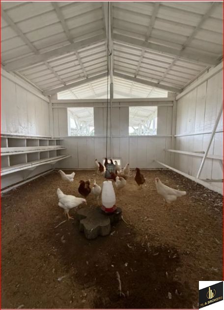 206.533 M2 / REBOUÇAS-PR / 400 METROS ASFALTO