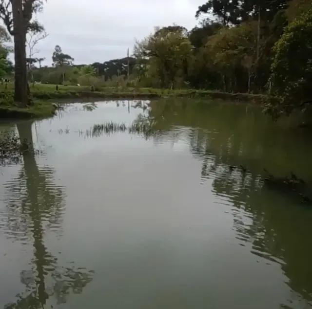 206.533 M2 / REBOUÇAS-PR / 400 METROS ASFALTO