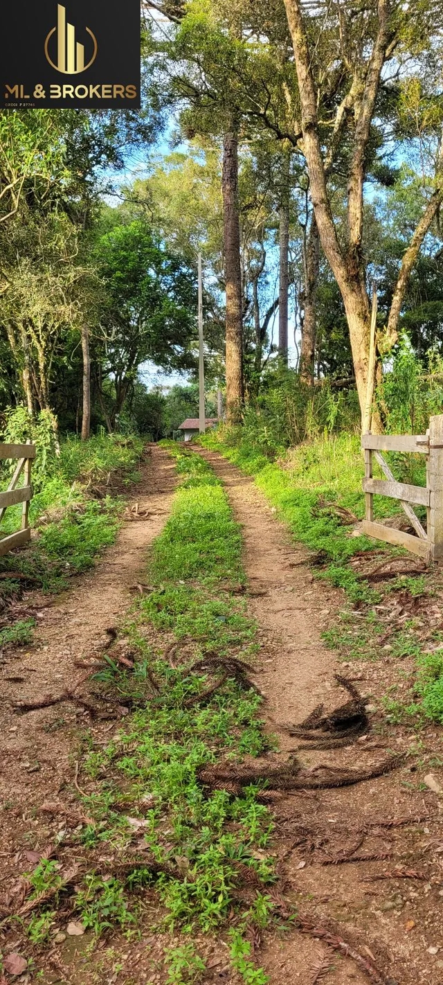 79.860 M2 / RIO / IDEAL INVESTIDOR