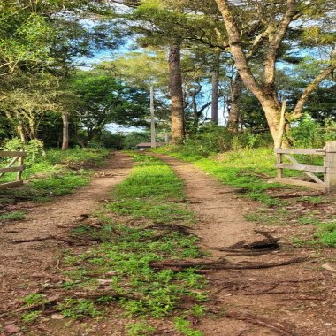 79.860 M2 / RIO / IDEAL INVESTIDOR