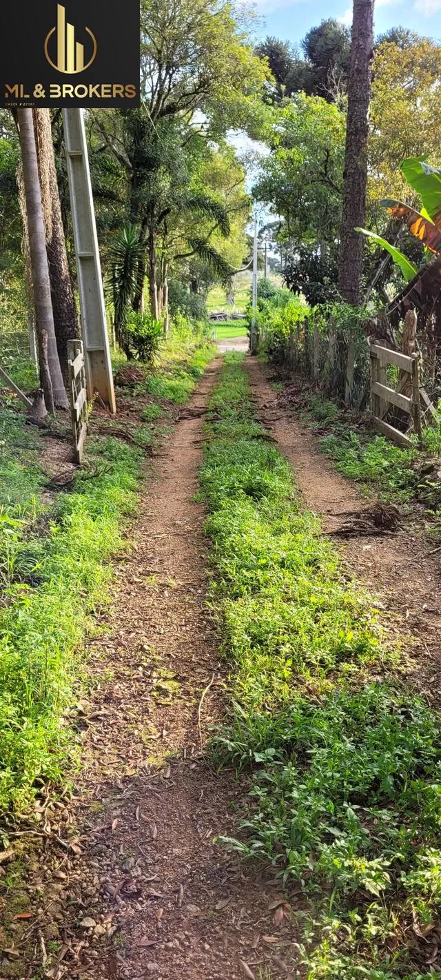 79.860 M2 / RIO / IDEAL INVESTIDOR