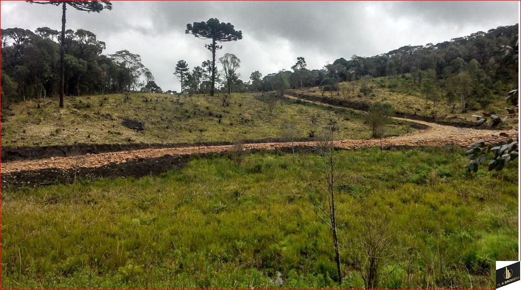 46.000M2/NASCENTE/ENERGIA ELETRICA/IDEAL INVESTIDOR