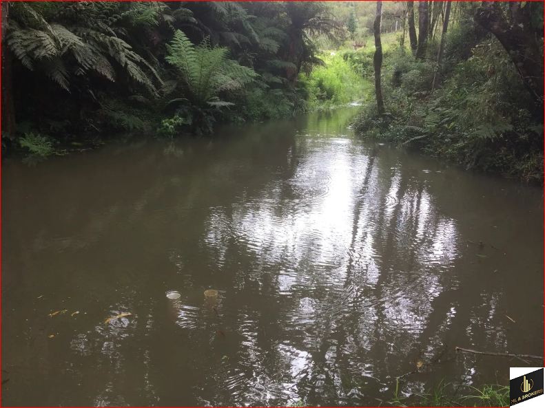 46.000M2/NASCENTE/ENERGIA ELETRICA/IDEAL INVESTIDOR