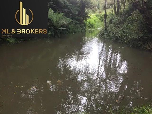 46.000M2/NASCENTE/ENERGIA ELETRICA/IDEAL INVESTIDOR