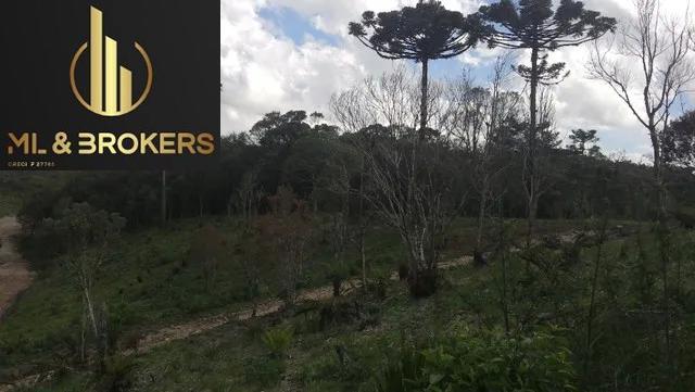 46.000M2/NASCENTE/ENERGIA ELETRICA/IDEAL INVESTIDOR