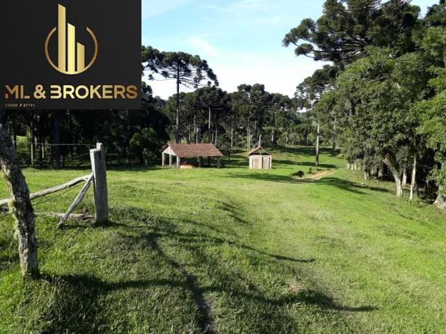 109.000M2/RIO/IDEAL INVESTIDOR