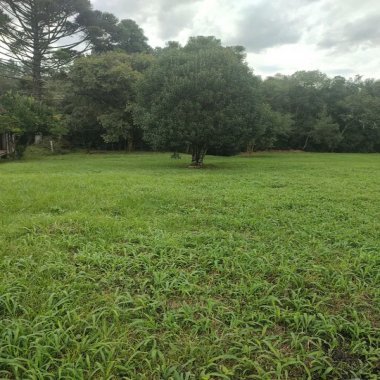 23.376M2/BAIRRO MATO PRETO / ENERGIA/ÁGUA ENCANADA / IDEAL INVESTIDOR