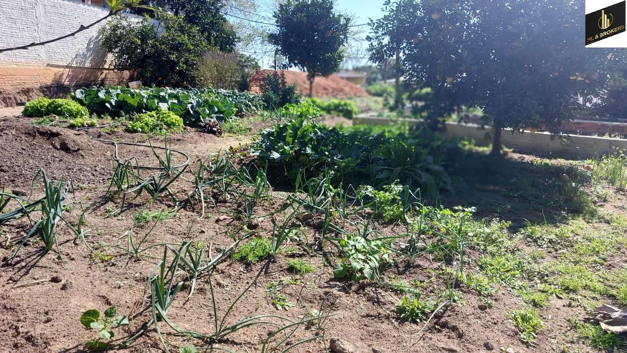 24.000M2 / CASA 250 M2/ TODA CERCADA/DOCUMENTAÇÃO OK