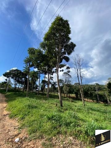 24.000M2 / CASA 250 M2/ TODA CERCADA/DOCUMENTAÇÃO OK