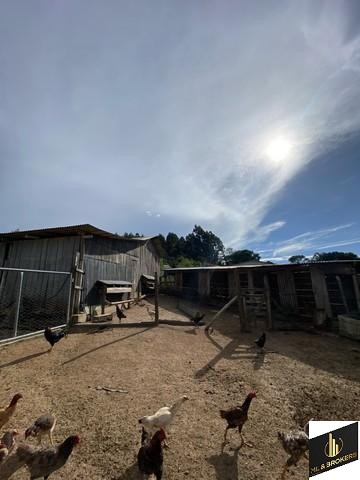 24.000M2 / CASA 250 M2/ TODA CERCADA/DOCUMENTAÇÃO OK