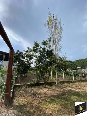 24.000M2 / CASA 250 M2/ TODA CERCADA/DOCUMENTAÇÃO OK