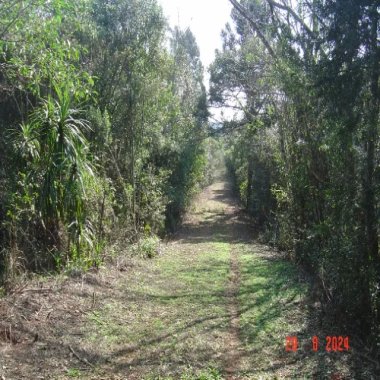 84.000 M2/ ÁREA INDUSTRIAL/ 200 MTS PR 510/IDEAL INVESTIDOR