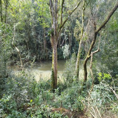 35.617 M2 / ASFALTO FRENTE /IDEAL INVESTIDOR