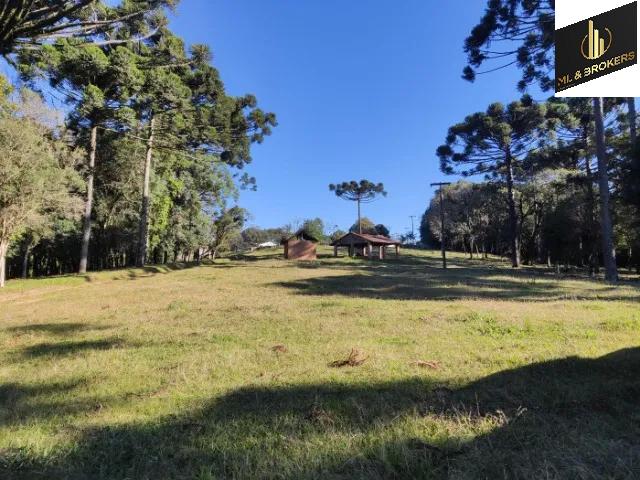 20.000M2/OTIMA LOCALIZAÇÃO/IDEAL INVESTIDORES