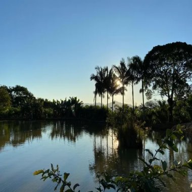 177.000M2/5 KM DO CENTRO/PLANTAÇÃO PUPUNHA/IDEAL INVESTIDOR