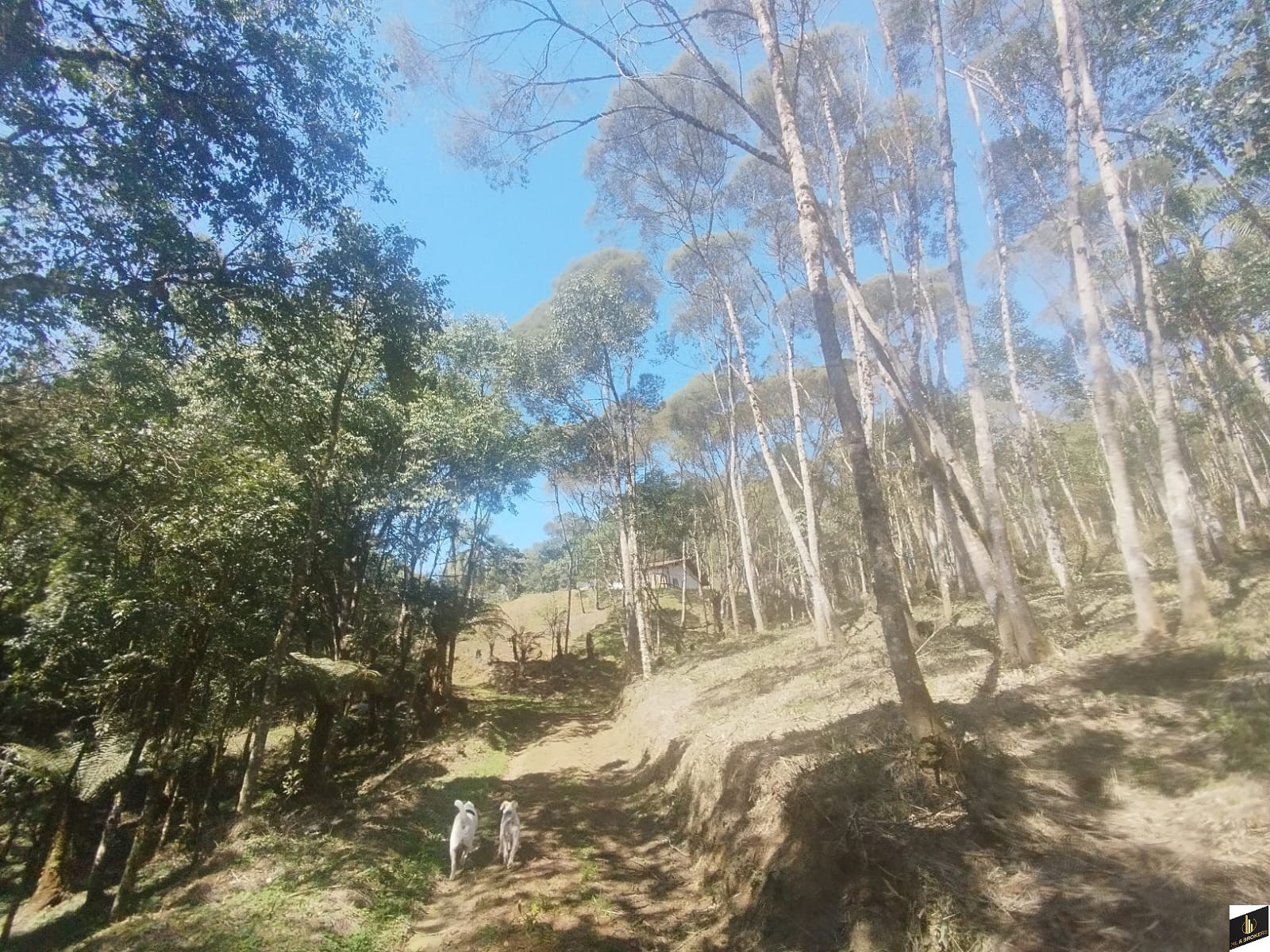 7.000M2/CASA 100M2/ÓTIMA LOCALIZAÇÃO/IDEAL INVESTIDORES