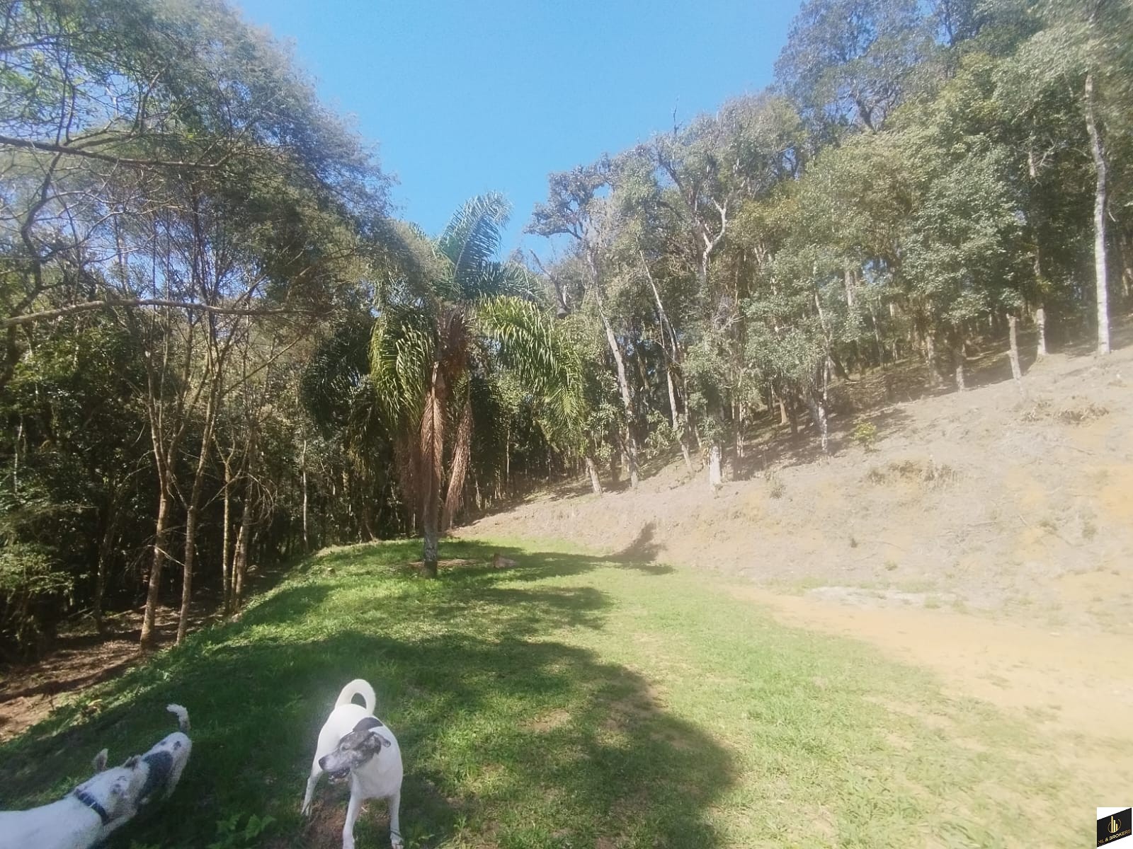 7.000M2/CASA 100M2/ÓTIMA LOCALIZAÇÃO/IDEAL INVESTIDORES