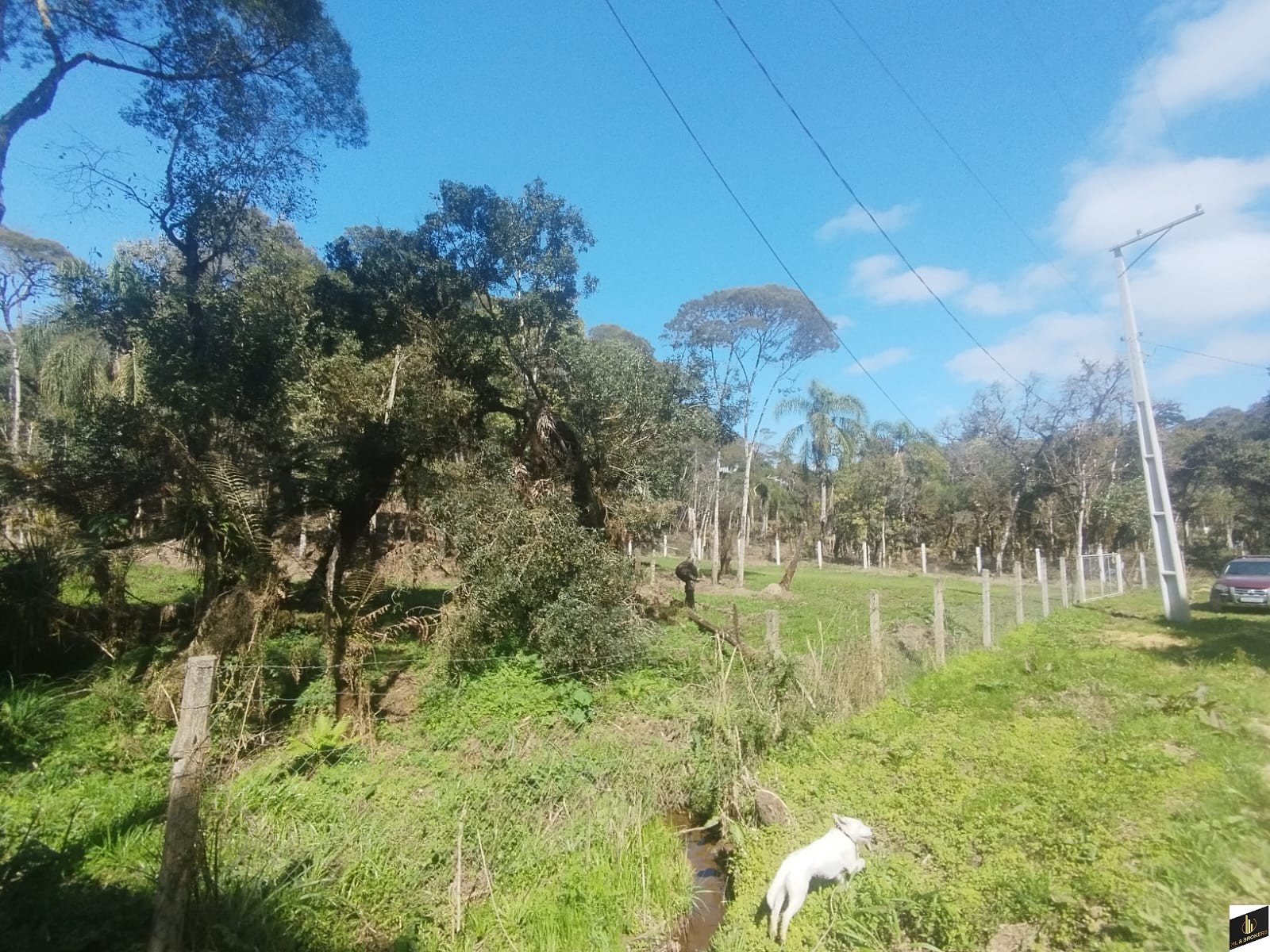 7.000M2/CASA 100M2/ÓTIMA LOCALIZAÇÃO/IDEAL INVESTIDORES