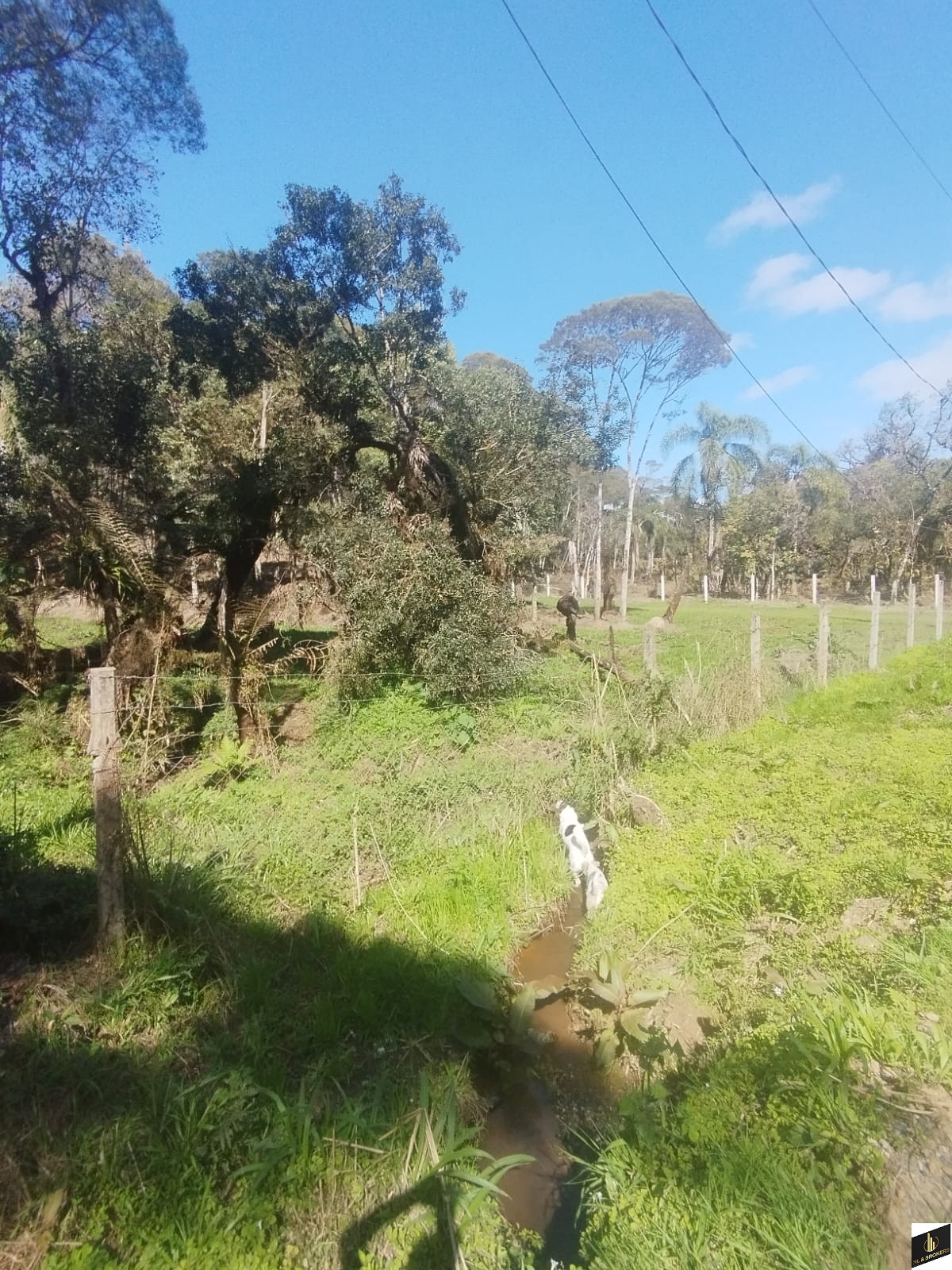 7.000M2/CASA 100M2/ÓTIMA LOCALIZAÇÃO/IDEAL INVESTIDORES