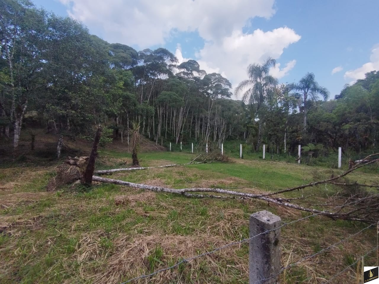 7.000M2/CASA 100M2/ÓTIMA LOCALIZAÇÃO/IDEAL INVESTIDORES