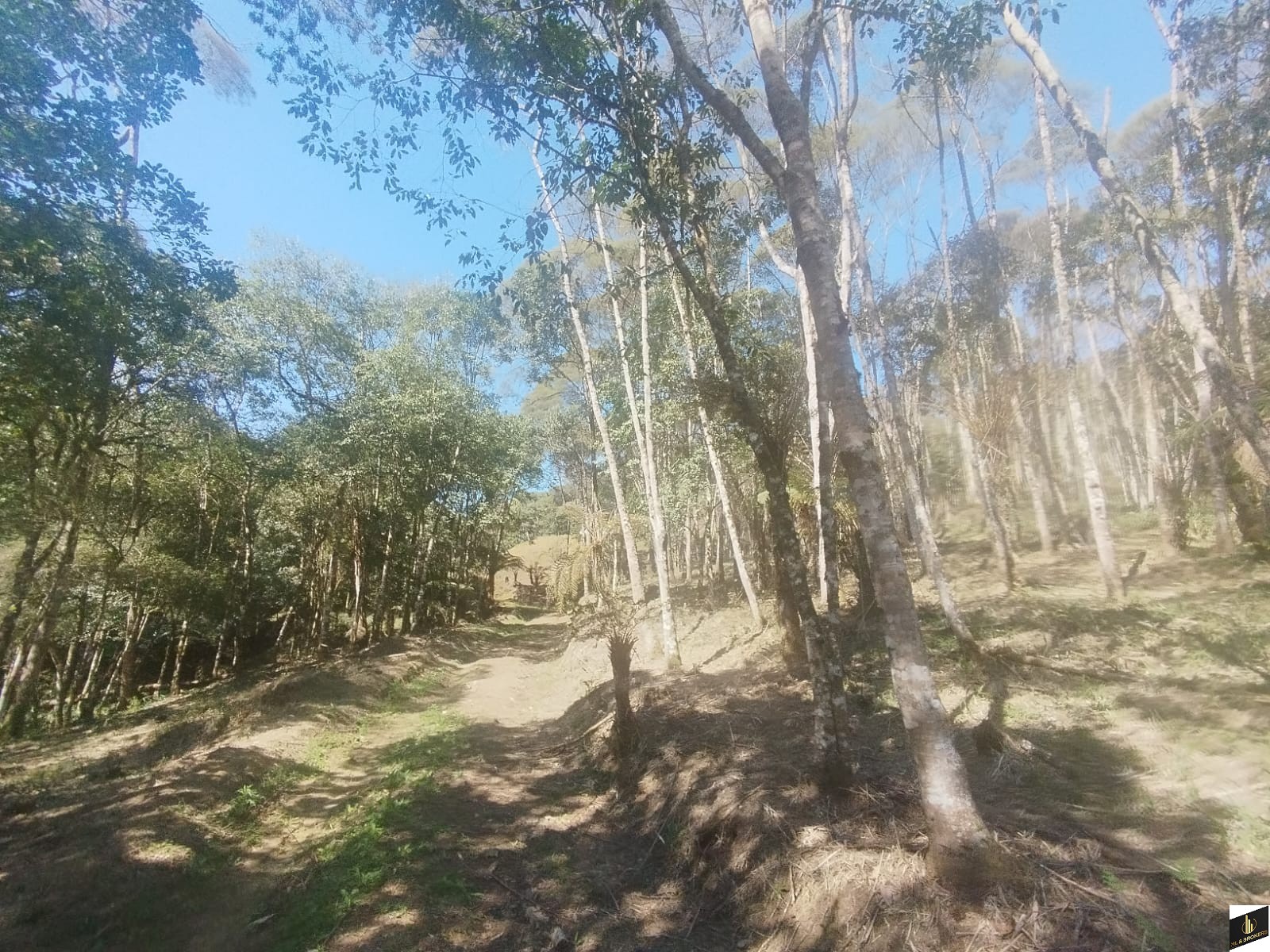 7.000M2/CASA 100M2/ÓTIMA LOCALIZAÇÃO/IDEAL INVESTIDORES