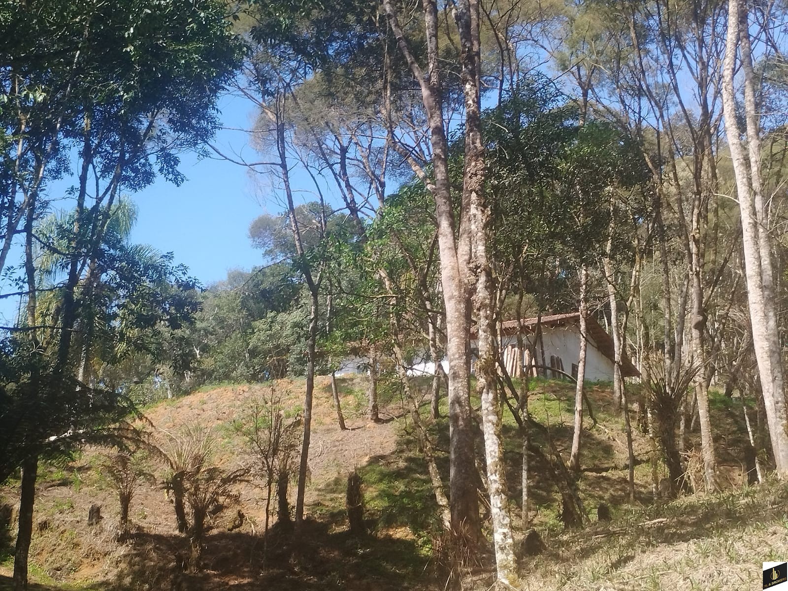 7.000M2/CASA 100M2/ÓTIMA LOCALIZAÇÃO/IDEAL INVESTIDORES