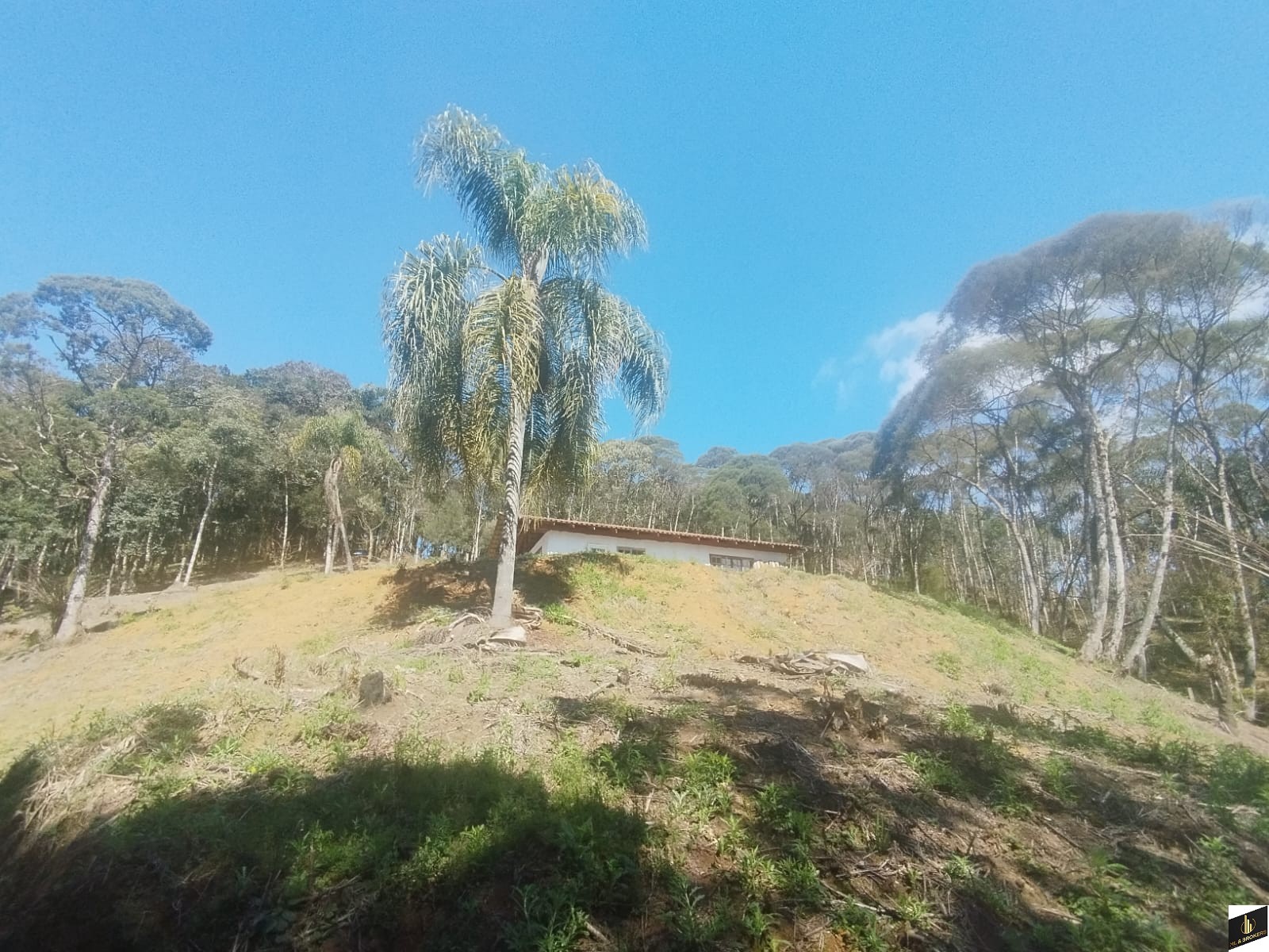 7.000M2/CASA 100M2/ÓTIMA LOCALIZAÇÃO/IDEAL INVESTIDORES