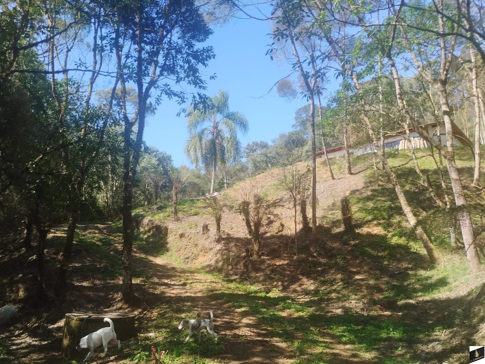 7.000M2/CASA 100M2/ÓTIMA LOCALIZAÇÃO/IDEAL INVESTIDORES