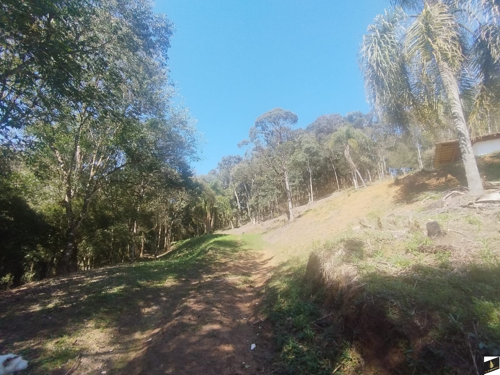 7.000M2/CASA 100M2/ÓTIMA LOCALIZAÇÃO/IDEAL INVESTIDORES