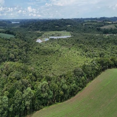 242.000 M2/ 2 KM PR423 / ÓTIMA LOCALIZAÇÃO/IDEAL PARA INVESTIDORES