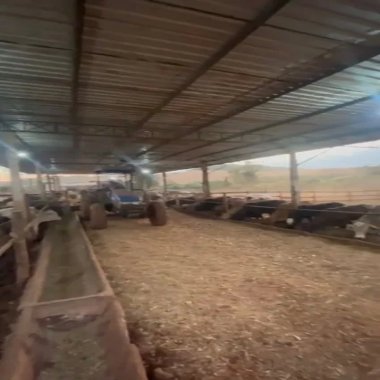 242.000 M2 / 5 KM DE LONDRINA / OTIMA LOCALIZAÇÃO/IDEAL INVESTIDORES