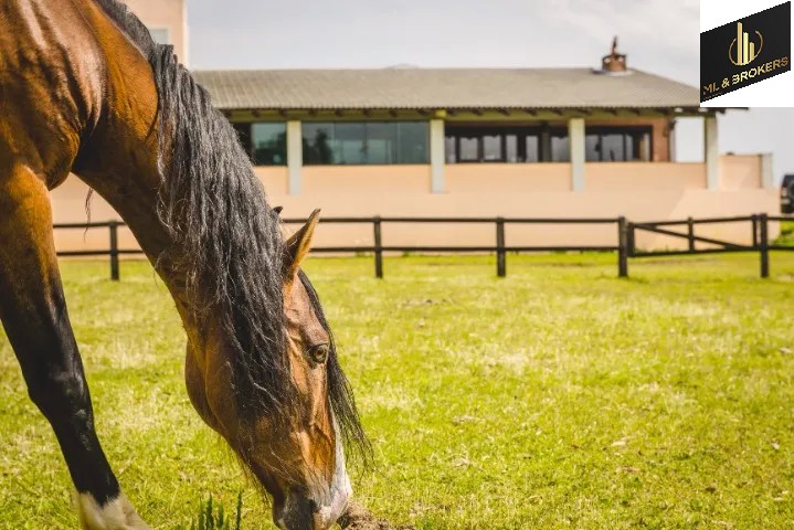 HARAS 520.000M2 /3.000M2 ÁREA CONSTRUÍDA/OPORTUNIDADE INVESTIDORES