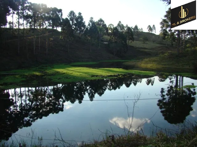 HARAS 520.000M2 /3.000M2 ÁREA CONSTRUÍDA/OPORTUNIDADE INVESTIDORES