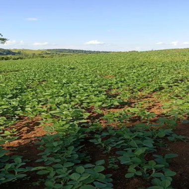 254.100M2/10,5 ALQUEIRES/IDEAL INVESTIDORES