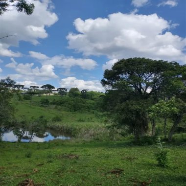 20.000 M2/PERTO ESTANCIA BETANIA/IDEAL HOTEL FAZENDA/PARA INVESTIDORES