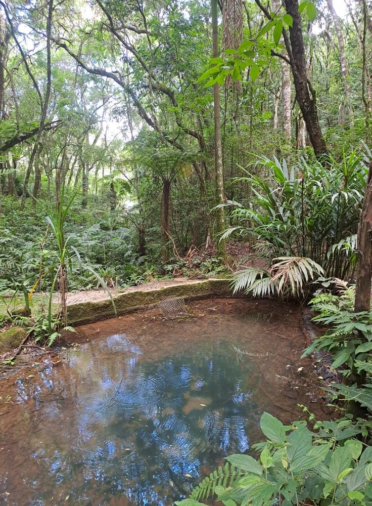 43.950M2/5.500 HOSPITAL A. CARON/IDEAL CASA REPOUSO COM ALOJAMENTO 40 PESSOAS